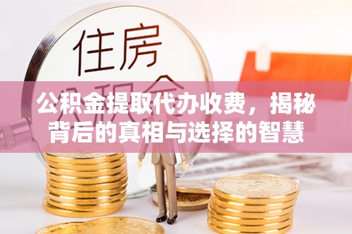 涡阳公积金提取代办收费，揭秘背后的真相与选择的智慧