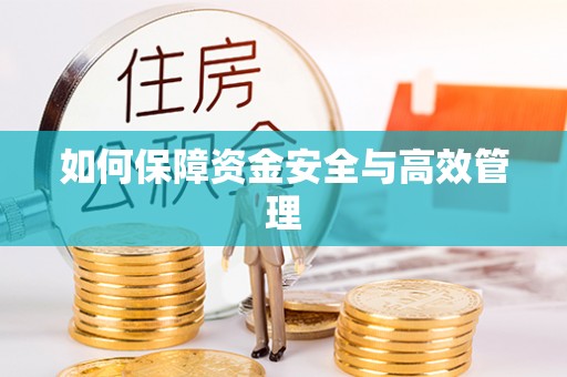 涡阳如何保障资金安全与高效管理