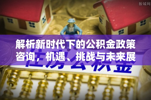 涡阳解析新时代下的公积金政策咨询，机遇、挑战与未来展望