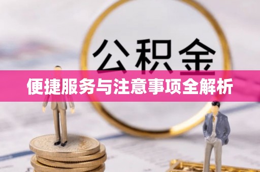 涡阳便捷服务与注意事项全解析