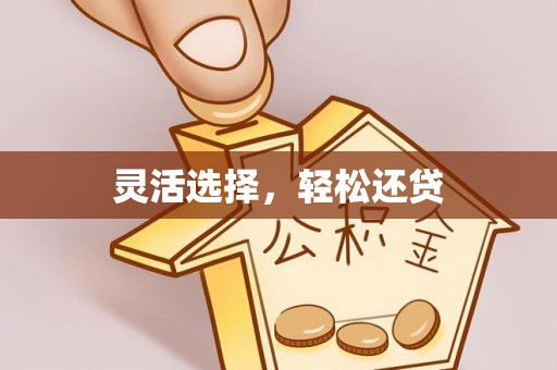 涡阳灵活选择，轻松还贷