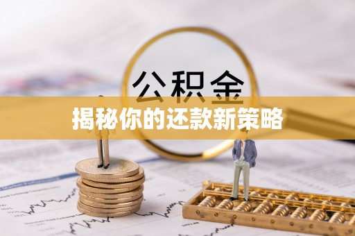 涡阳揭秘你的还款新策略
