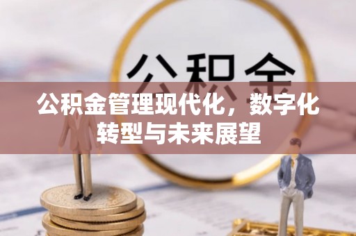涡阳公积金管理现代化，数字化转型与未来展望