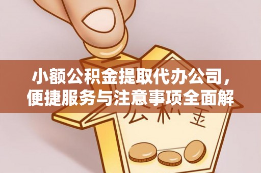 涡阳小额公积金提取代办公司，便捷服务与注意事项全面解析