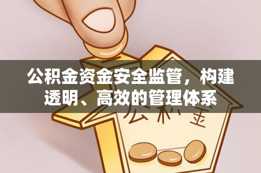 涡阳公积金资金安全监管，构建透明、高效的管理体系