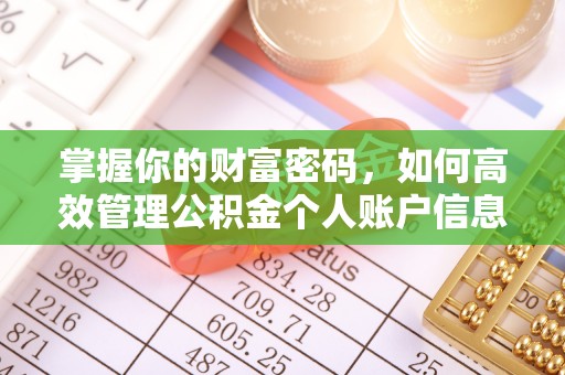 涡阳掌握你的财富密码，如何高效管理公积金个人账户信息