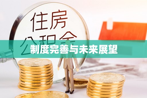 涡阳制度完善与未来展望