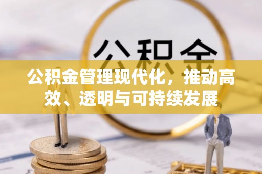 涡阳公积金管理现代化，推动高效、透明与可持续发展