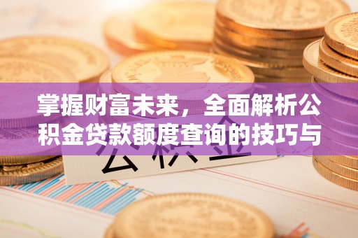 涡阳掌握财富未来，全面解析公积金贷款额度查询的技巧与策略