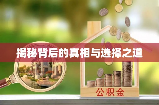涡阳揭秘背后的真相与选择之道
