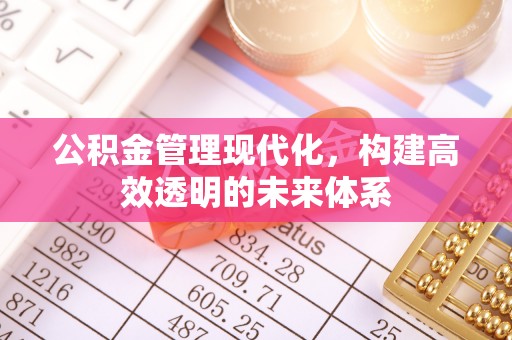 涡阳公积金管理现代化，构建高效透明的未来体系