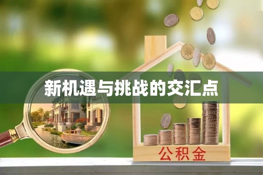 涡阳新机遇与挑战的交汇点