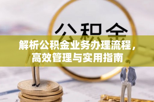 涡阳解析公积金业务办理流程，高效管理与实用指南