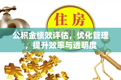 涡阳公积金绩效评估，优化管理，提升效率与透明度