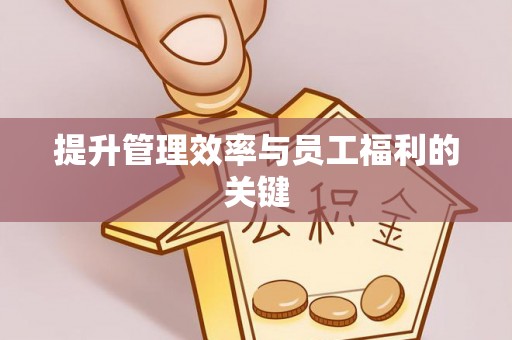 涡阳提升管理效率与员工福利的关键