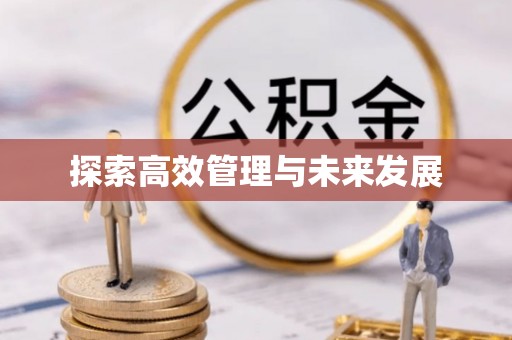 涡阳探索高效管理与未来发展