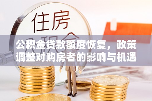 涡阳公积金贷款额度恢复，政策调整对购房者的影响与机遇