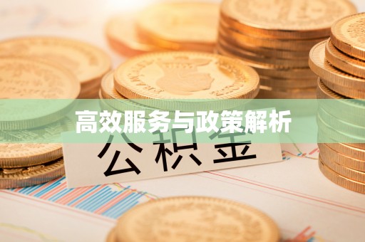 涡阳高效服务与政策解析