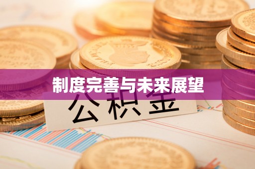 涡阳制度完善与未来展望