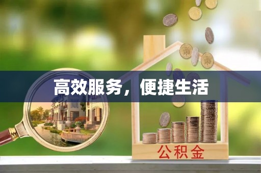 涡阳高效服务，便捷生活