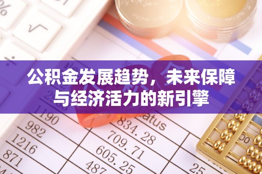 涡阳公积金发展趋势，未来保障与经济活力的新引擎