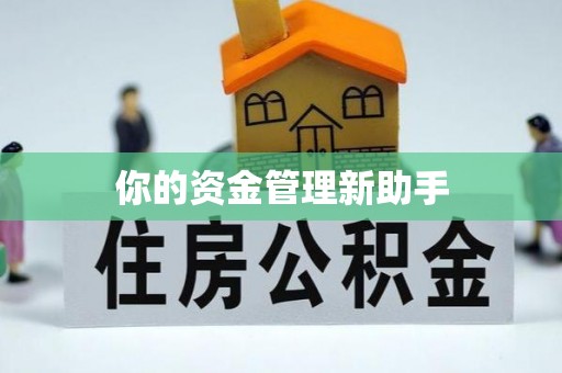 涡阳你的资金管理新助手