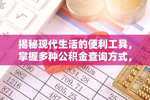 涡阳揭秘现代生活的便利工具，掌握多种公积金查询方式，让财富管理更轻松
