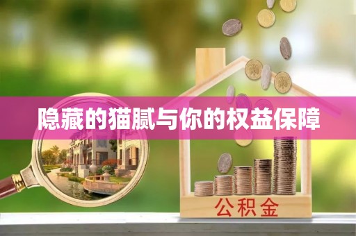 涡阳隐藏的猫腻与你的权益保障