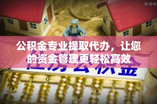 涡阳公积金专业提取代办，让您的资金管理更轻松高效