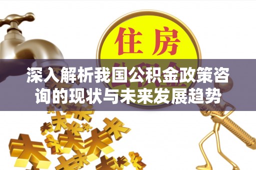 涡阳深入解析我国公积金政策咨询的现状与未来发展趋势