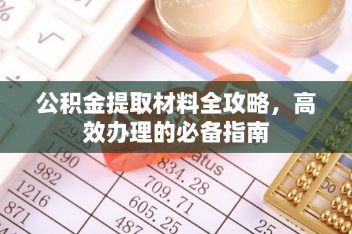 涡阳公积金提取材料全攻略，高效办理的必备指南
