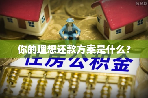 涡阳你的理想还款方案是什么？