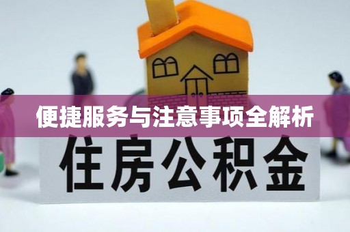 涡阳便捷服务与注意事项全解析