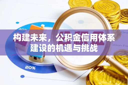 涡阳构建未来，公积金信用体系建设的机遇与挑战