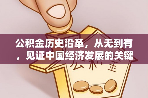 涡阳公积金历史沿革，从无到有，见证中国经济发展的关键一步