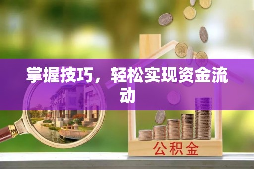 涡阳掌握技巧，轻松实现资金流动